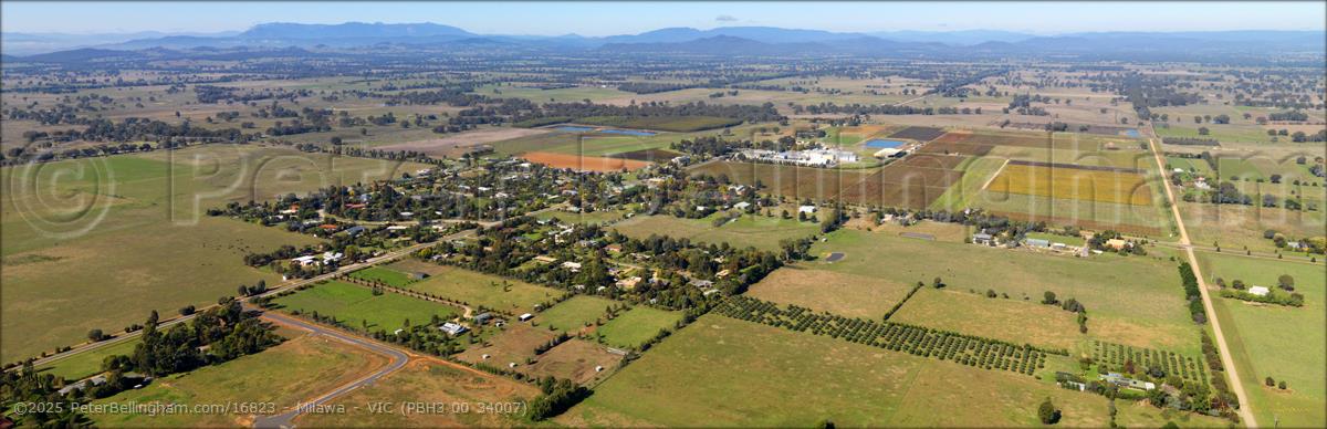Peter Bellingham Photography Milawa - VIC (PBH3 00 34007)